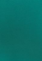 Bayan Yeşil Pamuklu Yaka Detaylı Tişört