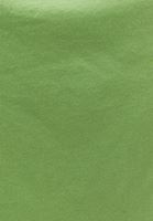 Bayan Yeşil Pamuklu Crop Tişört