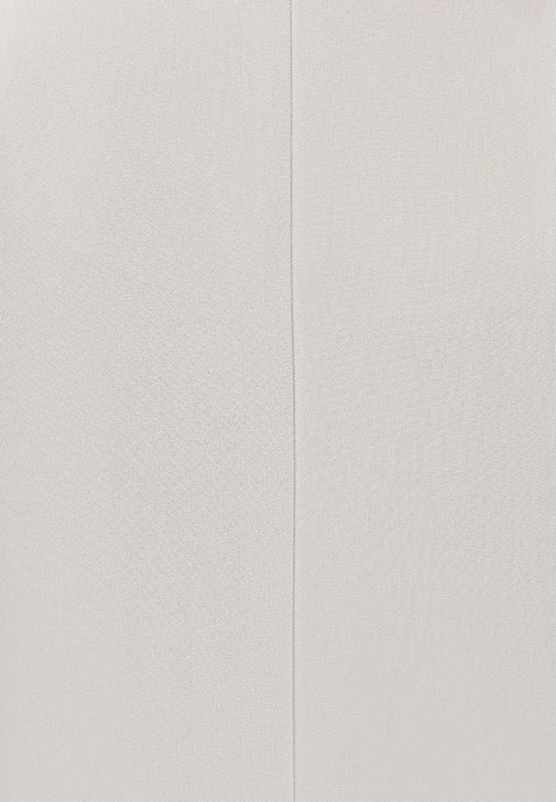 Blazer Ceket ve Elbise Kombini