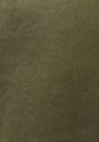 Bayan Yeşil Loose-Fit Gömlek ( TENCEL™ )