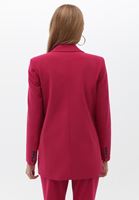 Blazer Ceket ve Carrot-Fit Pantolon Kombini