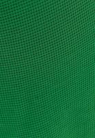 Bayan Yeşil Polo Yaka Crop Tişört
