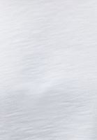 Bayan Beyaz Pamuklu Crop Tişört