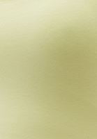 Bayan Sarı Esnek Dokulu Kare Yaka Atlet