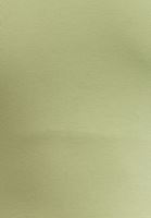 Bayan Yeşil Pamuklu Uzun Kollu Tişört