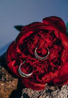 Bayan Altın Halka Küpe