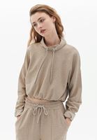 Bayan Bej Pamuklu Crop Sweatshirt