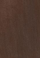 Bayan Kahverengi Yüksek Bel Straight-Fit Pantolon ( TENCEL™ )