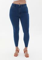 Bayan Mavi Curvy Jegging Denim Pantolon