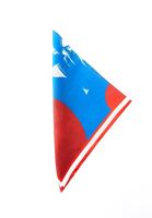 Bayan Çok Renkli Desenli Fular