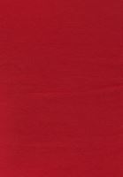 Bayan Kırmızı Esnek Dokulu Kare Yaka Atlet