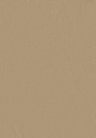 Bayan Yeşil Yüksek Bel Wide-Leg Kargo Pantolon