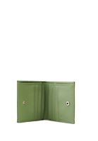 Women Green Multi-Compartment Wallet