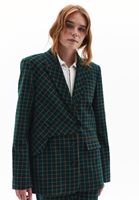 Bayan Çok Renkli Boyfriend Blazer Ceket