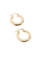 Bayan Altın Halka Küpe