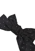 Bayan Siyah Taş Detaylı Klipsli Toka