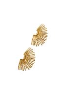 Bayan Altın Sallantılı Küpe