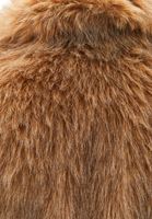 Bayan Bej Vegan Kürk Yelek