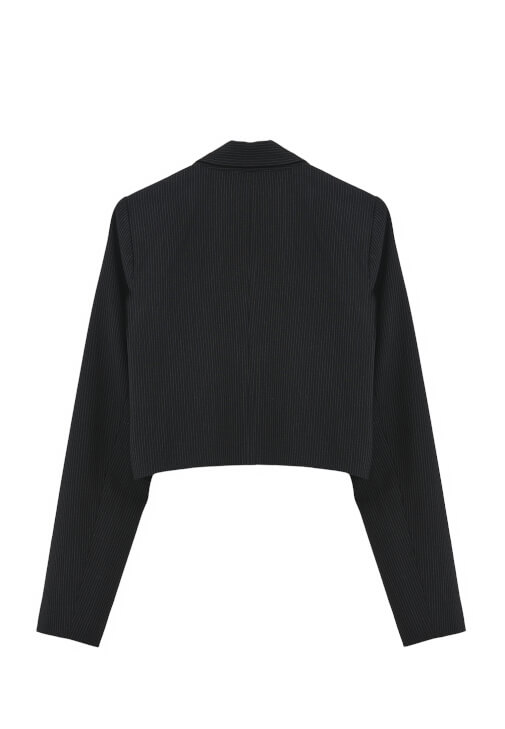 Blazer Ceket ve Çizgili Etek Kombini