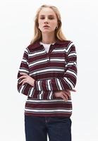 Bayan Çok Renkli Polo Yaka Triko Kazak