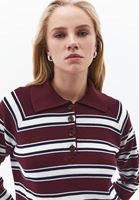 Bayan Çok Renkli Polo Yaka Triko Kazak