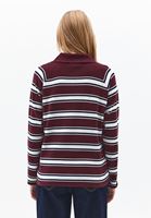 Bayan Çok Renkli Polo Yaka Triko Kazak