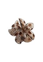 Bayan Kahverengi Mandal Saç Tokası