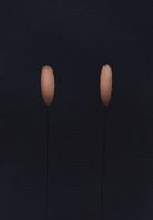 Bayan Siyah Cut-Out Detaylı Triko Elbise