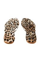 Bayan Çok Renkli Leopar Desenli Terlik