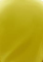 Bayan Yeşil Keten Karışımlı Düğmeli Yelek ( TENCEL™ )