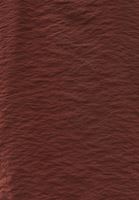 Bayan Kahverengi Boncuk Detaylı Bluz