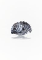 Bayan Gri Mandal Saç Tokası