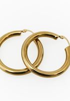 Bayan Altın Halka Küpe