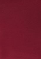 Bayan Kırmızı Modal Askılı Atlet