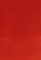 Bayan Turuncu Pamuklu Kare Yaka Atlet