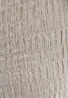 Bayan Bej Yüksek Bel Wide-Leg Pantolon