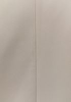 Bayan Bej Boyfriend Blazer Ceket