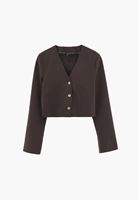 Crop Blazer ve Pileli Pantolon Kombini