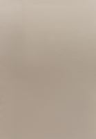 Bayan Bej Bot Yaka Büzgü Detaylı Bluz