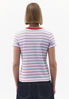 Bayan Çok Renkli Pamuklu Sıfır Yaka Tişört