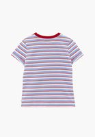 Bayan Çok Renkli Pamuklu Sıfır Yaka Tişört