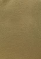 Bayan Yeşil V Yaka Atlet