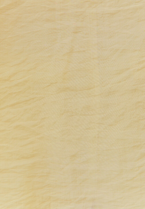 Transparan Gömlek ve Bermuda Kombini