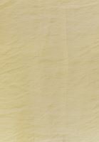 Bayan Yeşil Düğmeli Gömlek ( TENCEL™ )